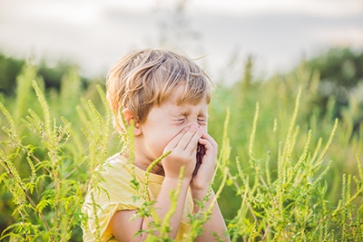 Common Fall Allergens in North Texas